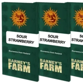 Sour Strawberry