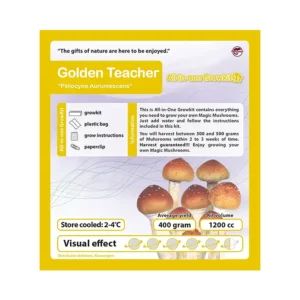 Golden Teacher Growkit - 1200 cc