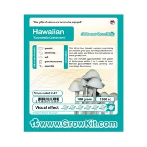 Hawaiian Growkit - 1200 cc (Psilocybe Copelandia)