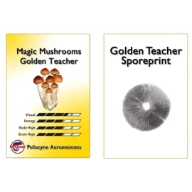 Golden Teacher Sporeprint