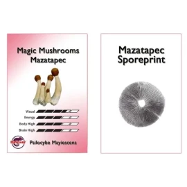 Mazatapec Sporeprint