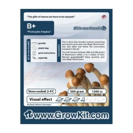 B Plus Growkit